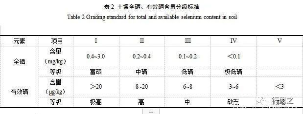 富硒大蒜是什么样子的_富硒大蒜种植技术_大蒜种植富硒技术有哪些