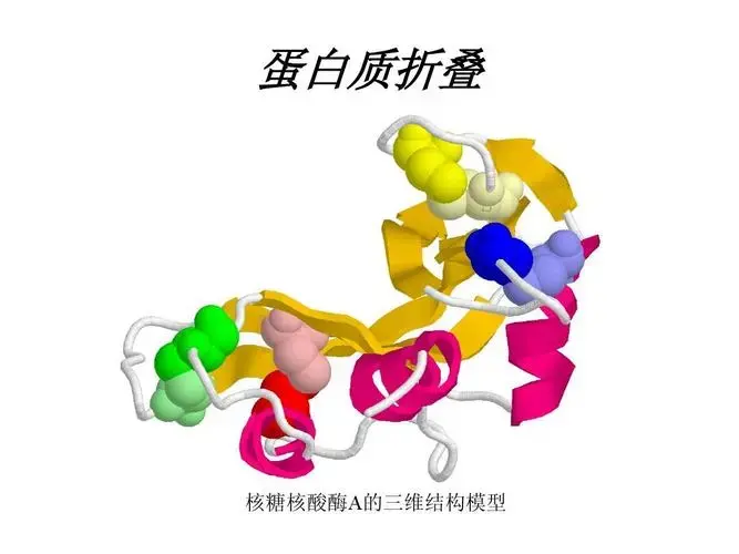 大蒜种植富硒技术方法_富硒大蒜种植技术_富硒大蒜的功效