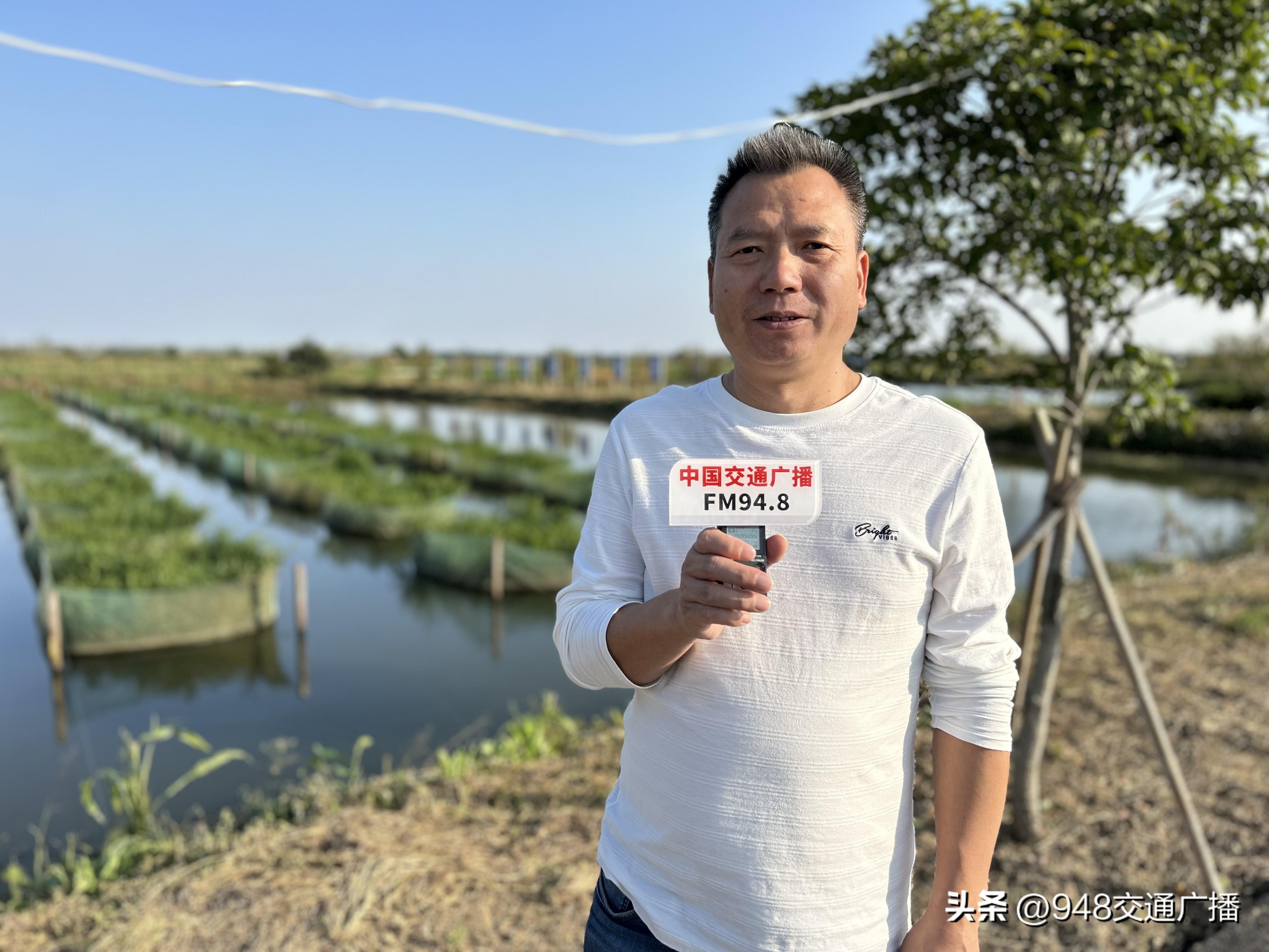 黄鳝视频养殖技术教程_黄鳝黄鳝养殖技术视频_黄鳝养殖视屏