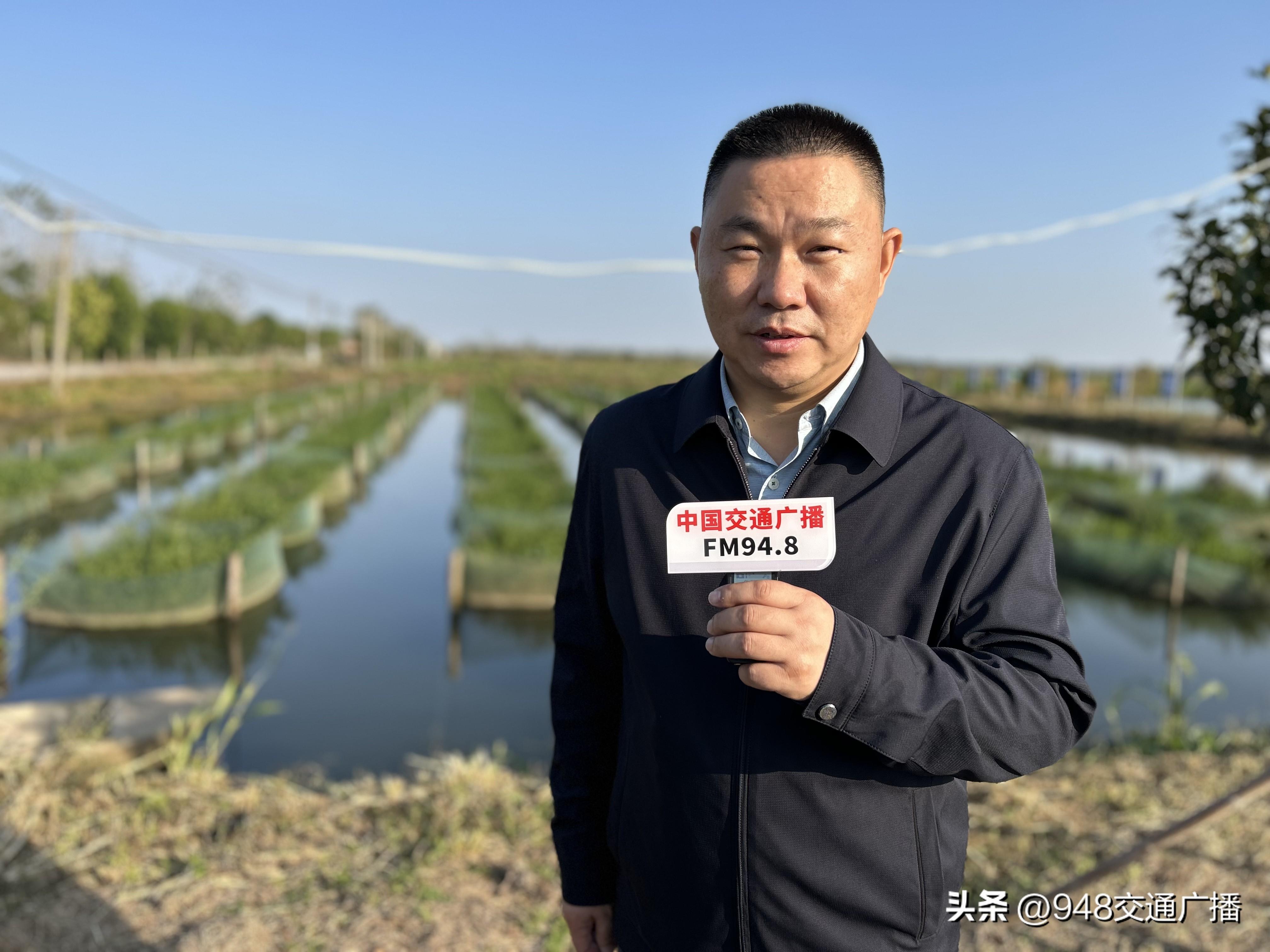 黄鳝黄鳝养殖技术视频_黄鳝养殖视屏_黄鳝视频养殖技术教程