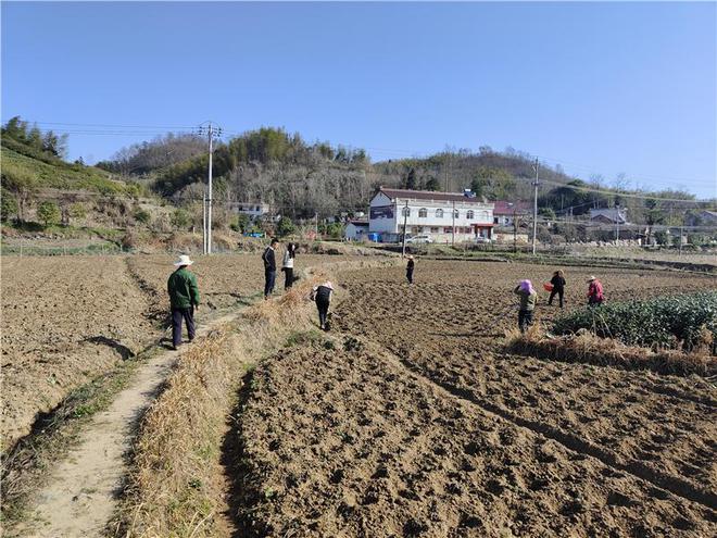 广东种什么中药最赚钱_广东种植中药致富_广东中药种植基地