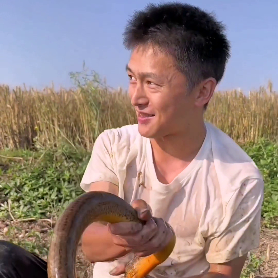 黄鳝黄鳝养殖技术视频_黄鳝视频养殖技术教程_黄鳝养殖视屏