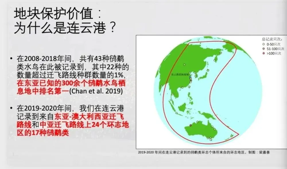 滩涂养殖致富_致富养殖滩涂图片_沿海滩涂养殖