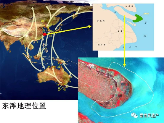 滩涂养殖致富_致富养殖滩涂图片_沿海滩涂养殖