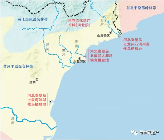 滩涂养殖致富_致富养殖滩涂图片_沿海滩涂养殖