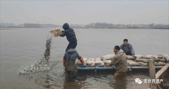 致富养殖滩涂图片_滩涂养殖致富_沿海滩涂养殖