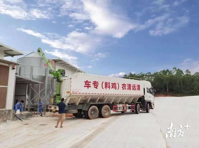 视频养殖福建鸡技术教程_福建鸡养殖技术视频_福建养鸡场