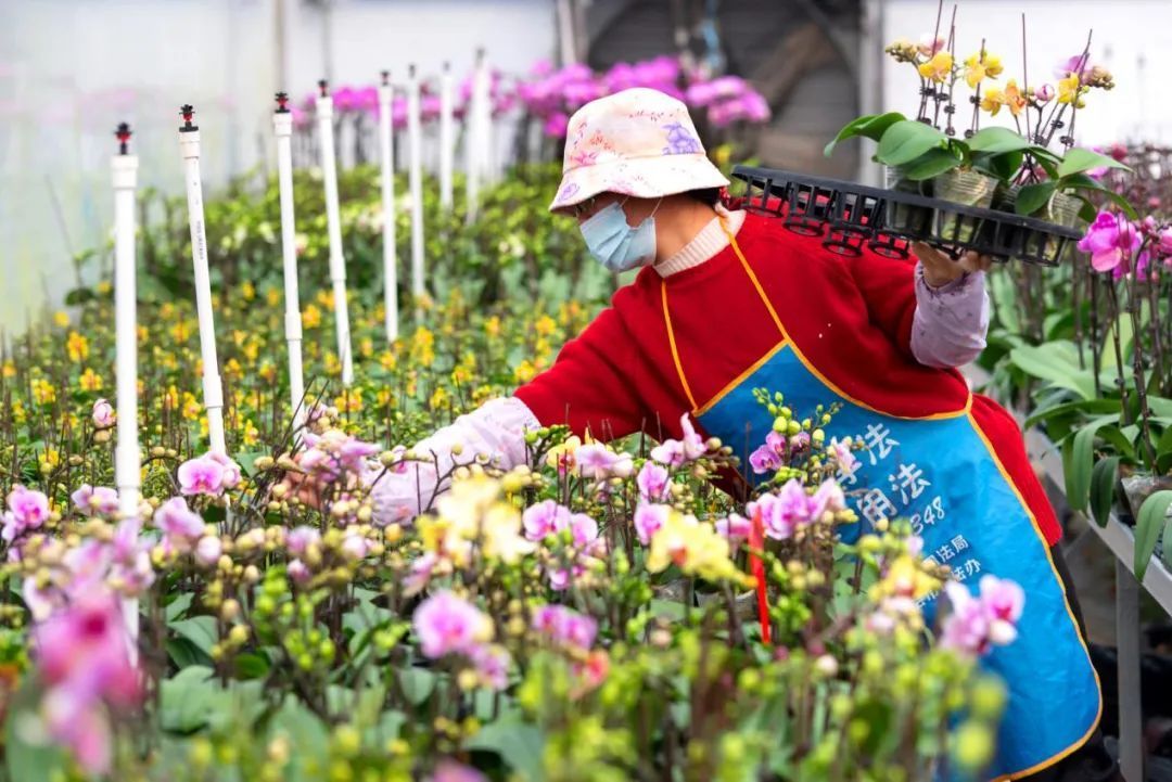 致富经陈耀祥_致富经陈斌_陈波致富经