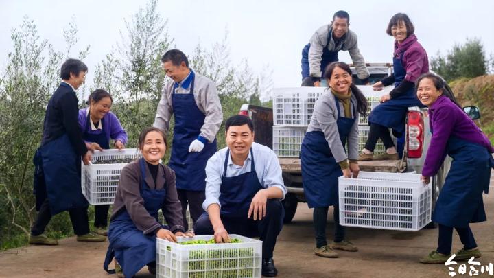 黄金果种植技术视频_种植黄金果致富_黄金种植骗局