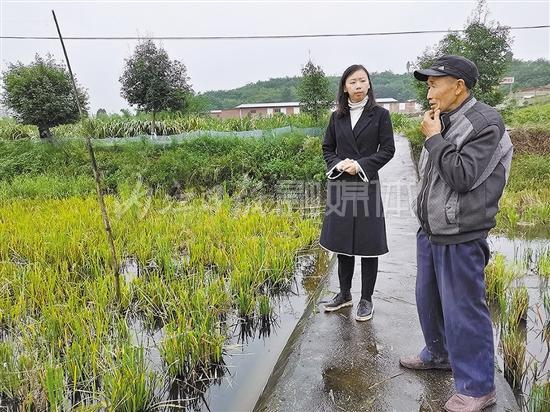 致富经农村养生态猪_养殖湘村黑猪致富故事小说_致富经散养黑猪视频全集