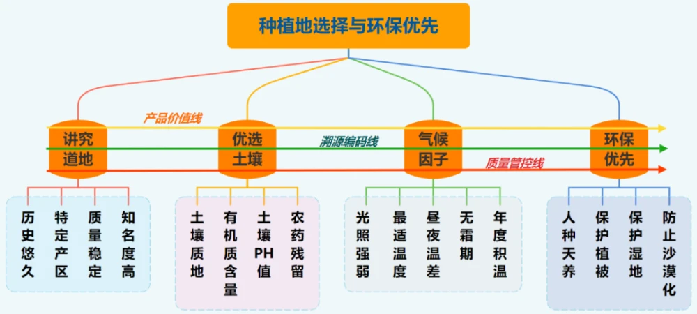 龙脑樟树种植前景董红卫_致富经董红卫种植龙脑樟树_龙脑樟树苗产地