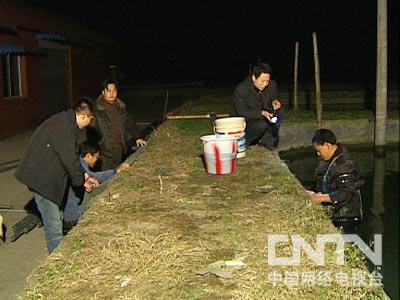 致富经泥鳅养殖_养殖泥鳅挣钱吗_致富养殖泥鳅图片