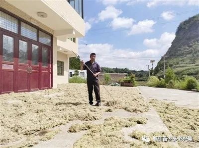 致富种植视频全集_致富草种植_致富种植什么比较赚大钱