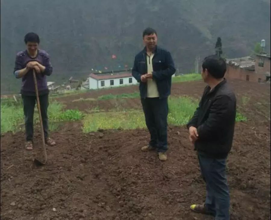 致富草种植_种草致富经_致富种植视频全集