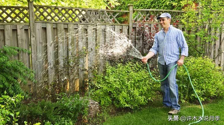 月季花的养殖技术_养殖月季花技术要点_如何养殖月季花