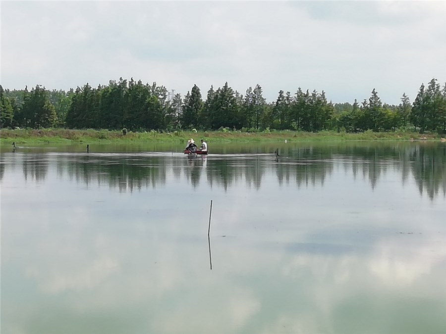 湖北潜江龙虾基地_潜江龙虾养殖模式_潜江龙虾致富经