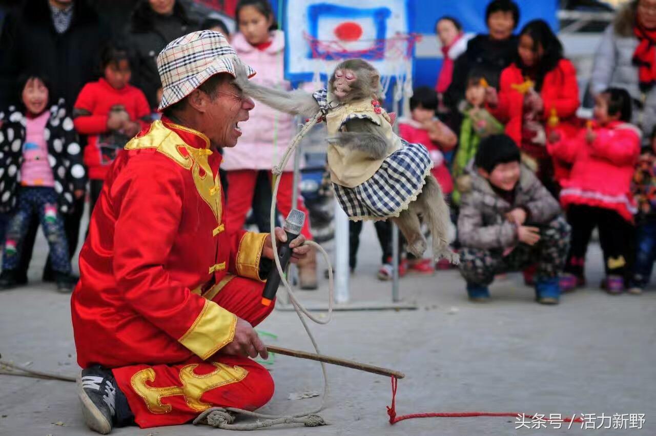 致富经水貂养殖视频_视频致富养殖水貂_养殖水貂的成本和利润