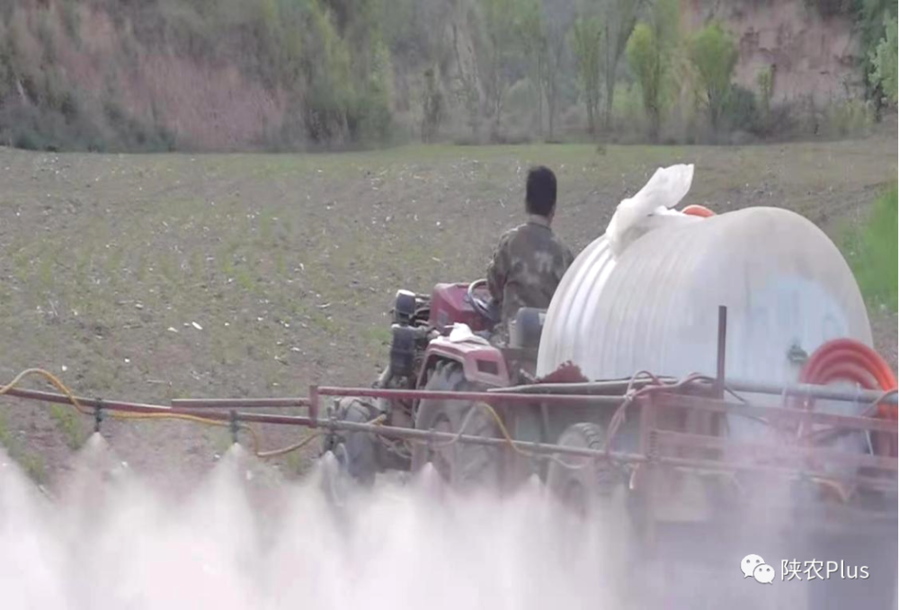 陕西养殖好项目_陕西养殖什么前景好_陕西种植养殖致富