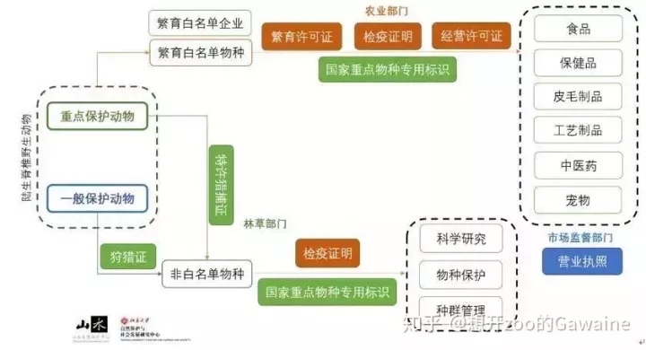 养殖水貂的成本和利润_视频致富养殖水貂是真的吗_致富经水貂养殖视频