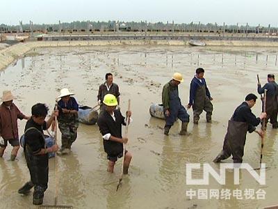 水草会跟鱼抢氧气吗_让鱼抢食的鱼饵_致富经一万斤鱼随便抢