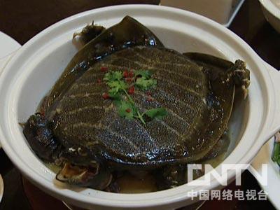 水草会跟鱼抢氧气吗_让鱼抢食的鱼饵_致富经一万斤鱼随便抢