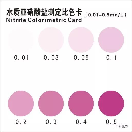 养殖水体的生态环境---理化因素和生物因素