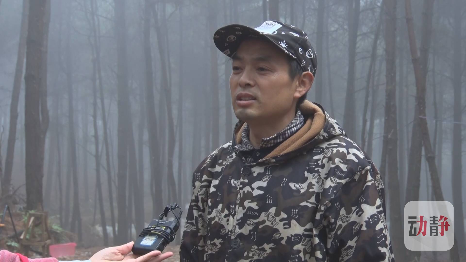 种植业致富项目前景好_种植致富产业_种植致富新项目