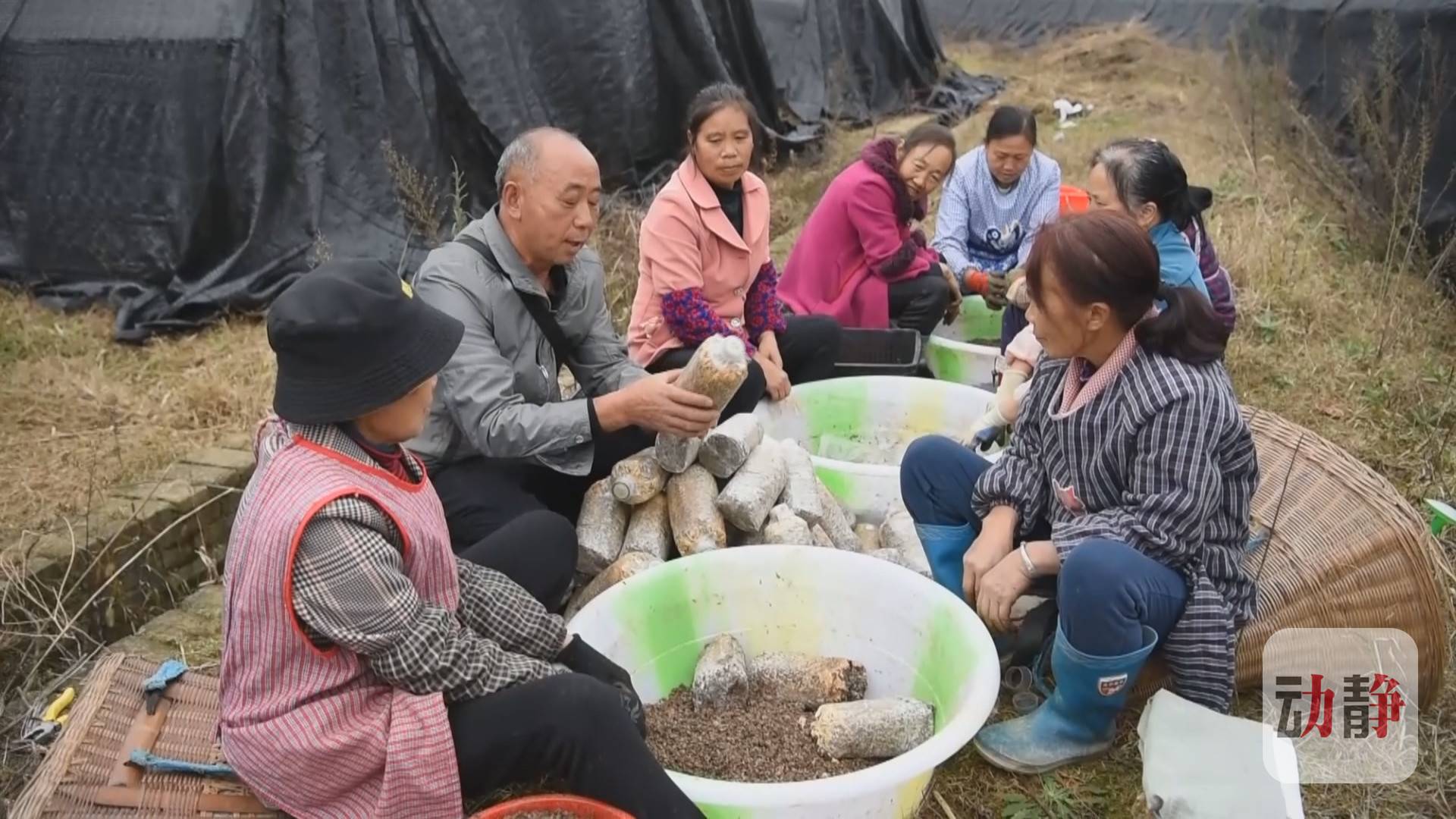 种植业致富项目前景好_种植致富新项目_种植致富产业