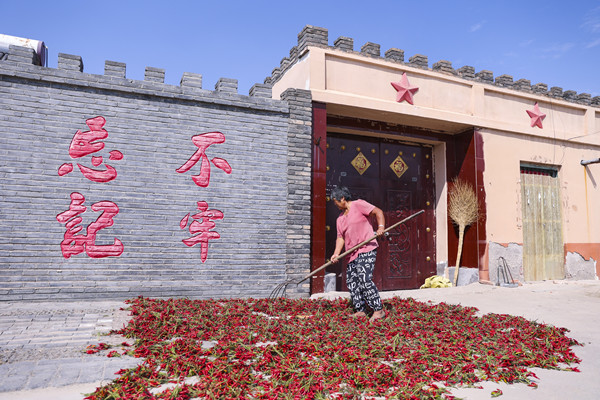 种植业致富项目前景好_种植致富产业_种植致富新项目