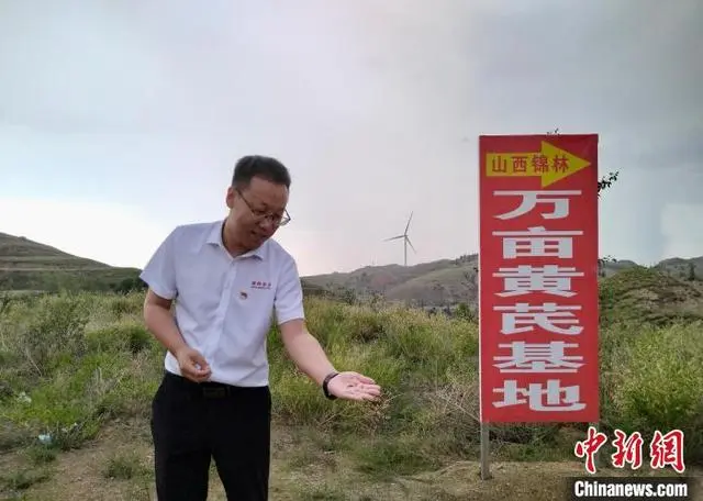 山坡地种植什么效益好_山坡种植致富项目_山坡种植什么前景好