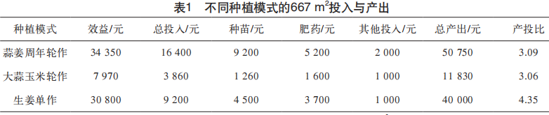 南方生姜种植技术视频教程_南方生姜种植技术_生姜南方种植技术要求