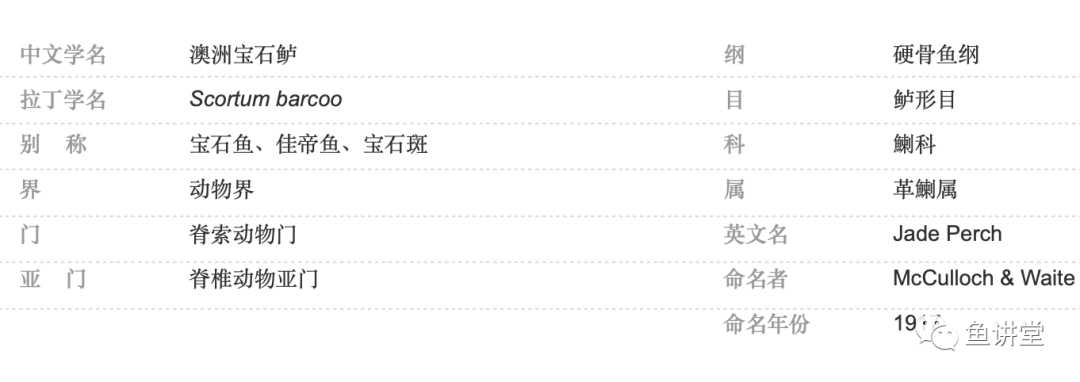 澳洲宝石鲈养殖技术