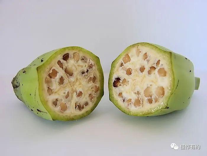 茄子种植法_种植茄子技术_茄孑的种植技术