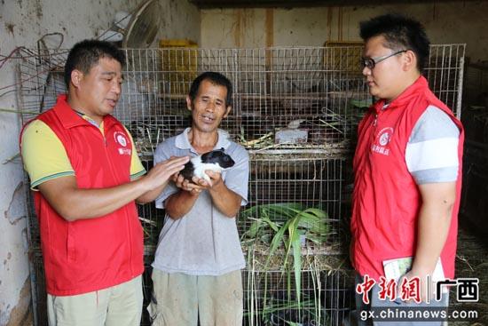 养殖黑豚鼠利润有多高_黑豚鼠养殖技术与利润_养殖黑豚鼠致富的经济价值