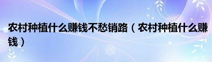 现代农村种植致富路线_农村致富种植项目_农村致富新项目种植