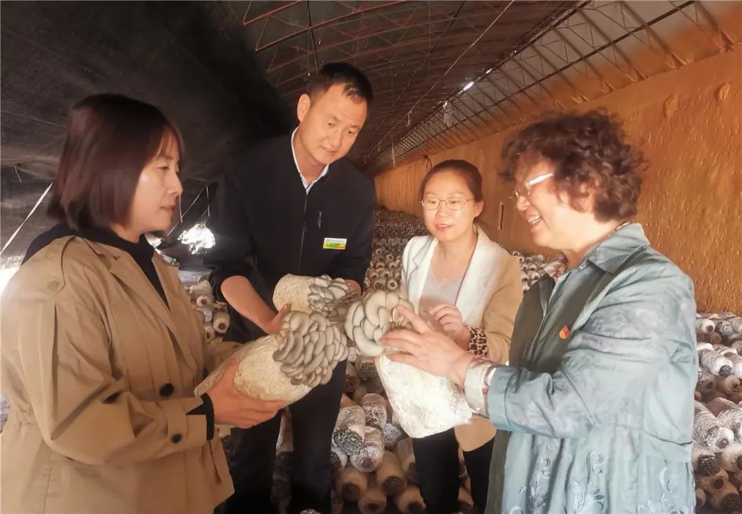 滨州种植平菇致富新闻报道_2020平菇种植前景_平菇种植市场前景如何