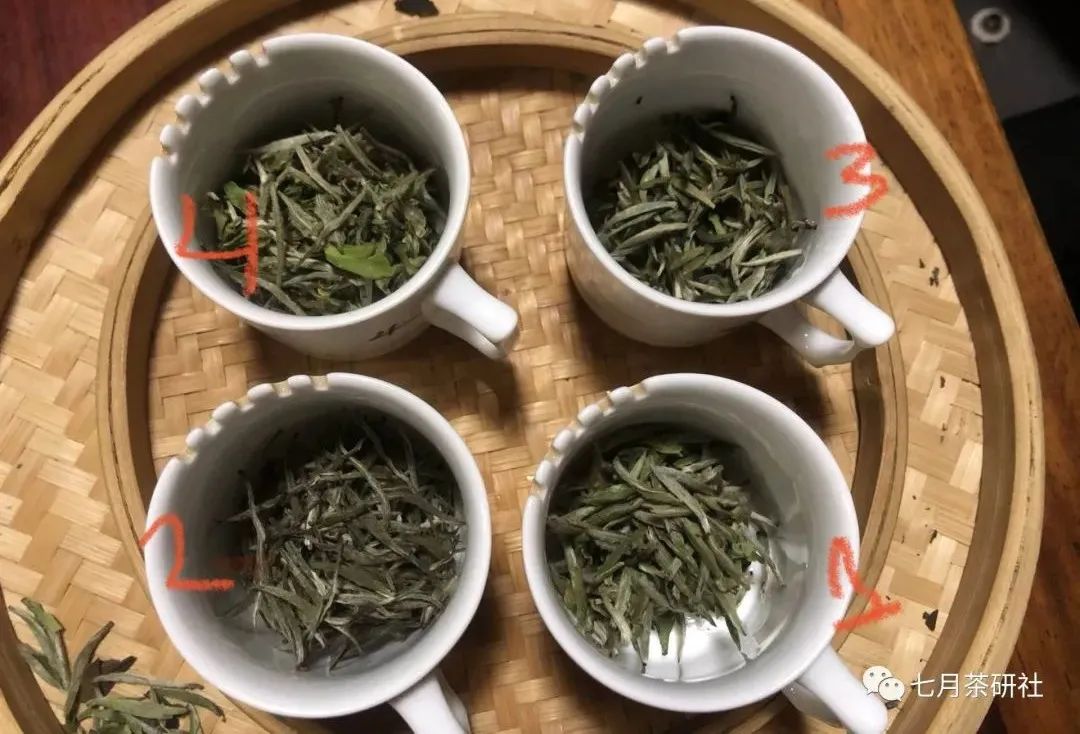 视频种植金樱子技术要点_金樱子种植技术视频_人工种植金樱子经济效益视频