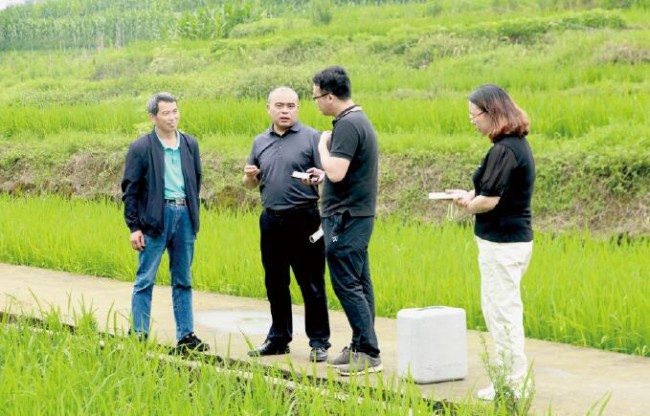 滨州种植平菇致富新闻报道_平菇种植交流群_平菇种植市场前景如何