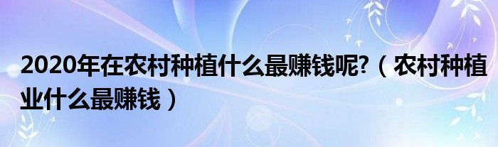 2020年在农村种植什么最赚钱呢?（农村种植业什么最赚钱）