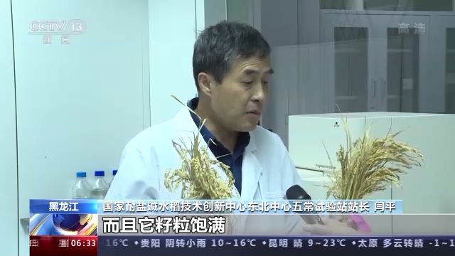 盐碱种植致富视频_盐碱地种植施工方案_盐碱地种植技术