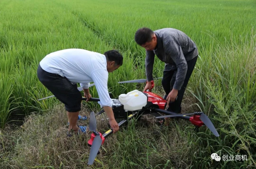 致富养殖好项目_养殖冷门致富项目_致富养殖冷门项目名称