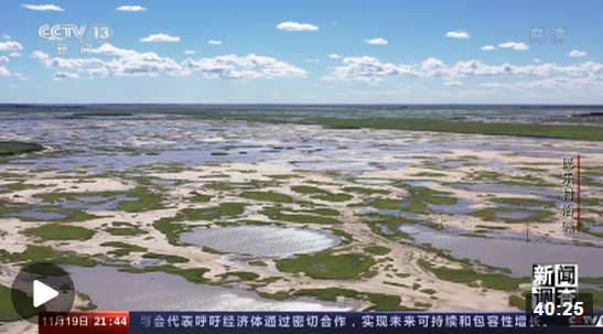 盐碱地种植中药材_盐碱地种庄稼_盐碱种植致富视频