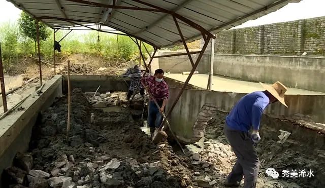 水产养殖业致富项目_水产养殖案例怎么写_水产养殖致富案例