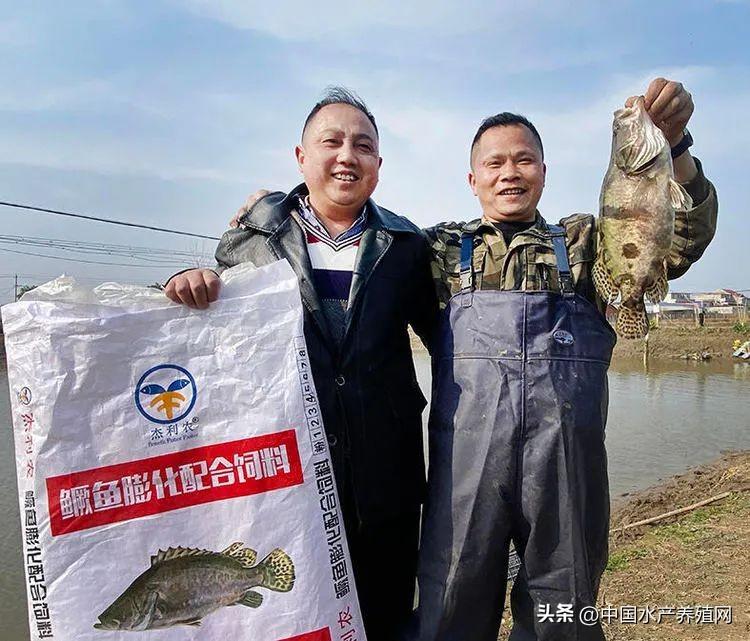 鳜鱼水产养殖技术_养殖水产鳜鱼技术要点_鳜鱼养殖最新技术流水槽