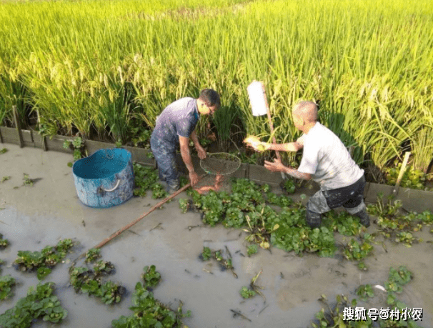 西北地区养殖好项目_致富西北养殖项目有哪些_西北养殖致富项目