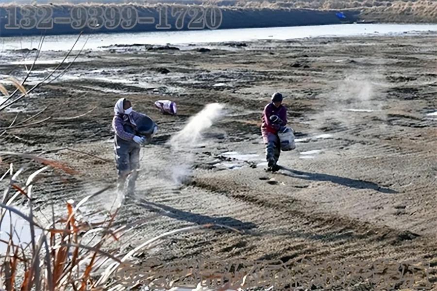 养殖水产鳜鱼技术要求_鳜鱼养殖最新技术流水槽_鳜鱼水产养殖技术