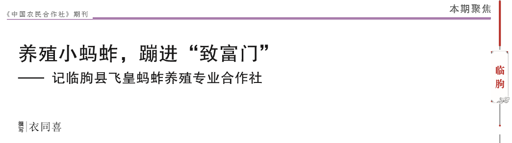 致富养殖蝗虫项目简介_致富养殖蝗虫项目介绍_蝗虫养殖致富项目