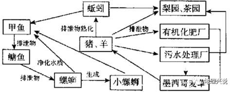 养殖黄鳝的视频_养殖黄鳝的技术视频_视频养殖黄鳝技术视频教程