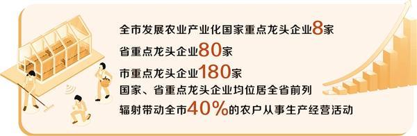 特色兴农——河南周口乡村特色产业发展巡礼