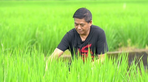 致富返乡种植项目申请书_回乡致富项目_返乡种植致富项目